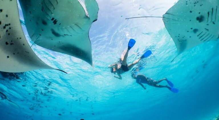 Le meilleur circuit pour un séjour de 15 jours aux Maldives