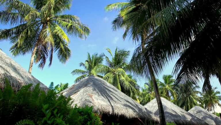 Voyagez de manière responsable aux Maldives : découvrez comment protéger ce paradis tropical