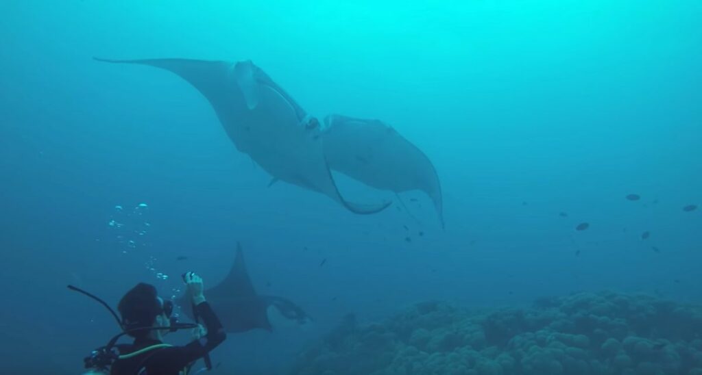 voyager aux Maldives 