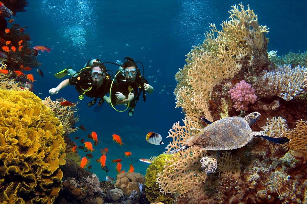 Plongée sous-marine et snorkeling aux Maldives