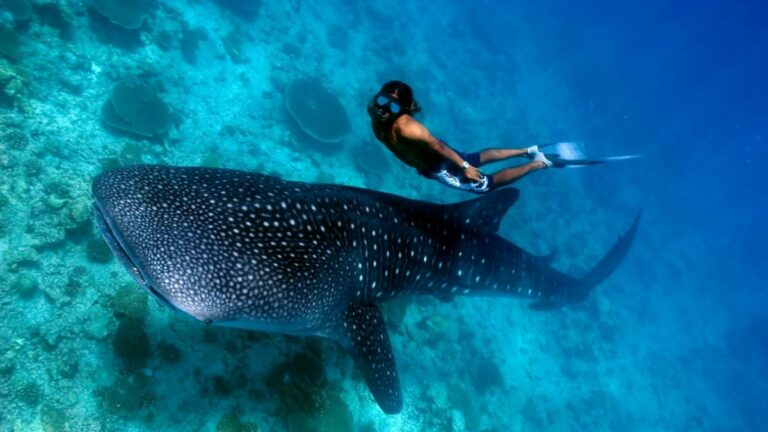 Coût moyen d&rsquo;un voyage aux Maldives : Conseils pour contrôler son budget