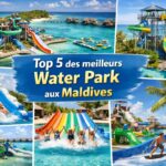 Top 5 des meilleurs parcs aquatiques aux Maldives